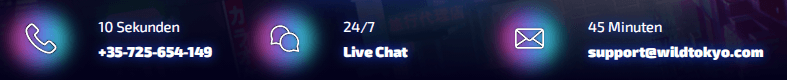 Zahlungsmethoden und -bedingungen bei Wild Tokyo